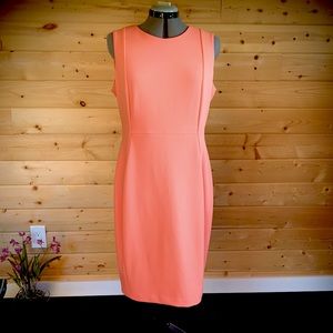 NWT Dress CALVIN KLEIN Sz 14 Scuba Sheath Salmon